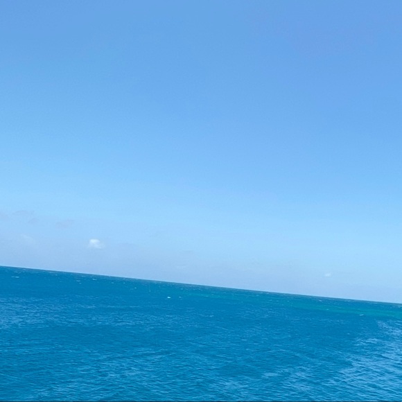 Meet your Posher, Brittney - Picture 1 of 1